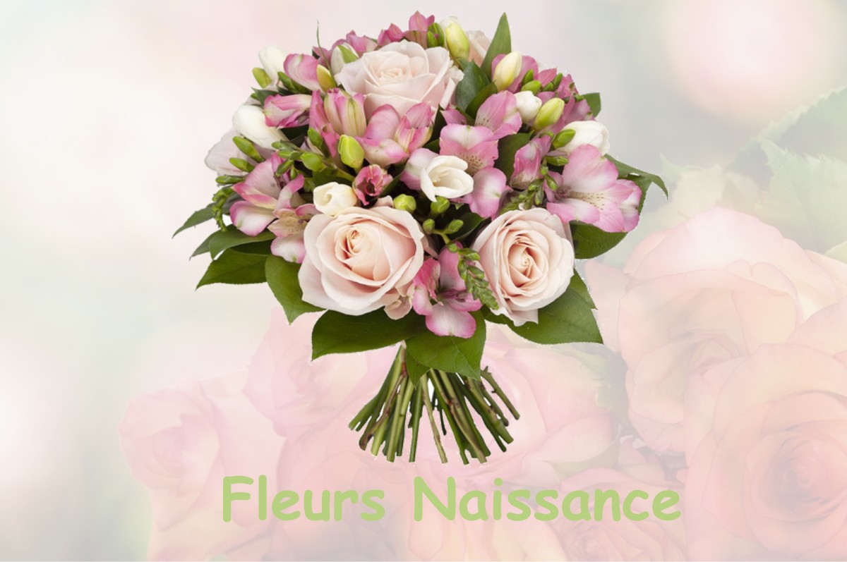 fleurs naissance MEZILHAC