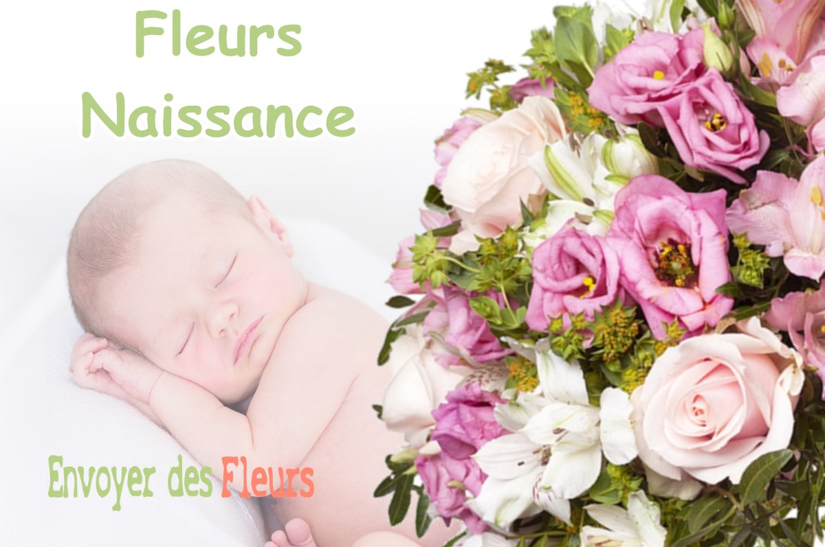 lIVRAISON FLEURS NAISSANCE à MEZILHAC